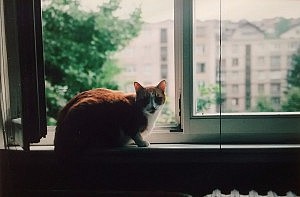 IMG_20150630_090917619