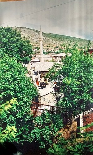 IMG_20150710_103145537_HDR