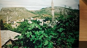 IMG_20150710_103152465