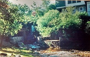 IMG_20150710_103224408_HDR