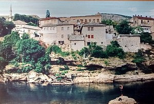 IMG_20150710_103236469_HDR