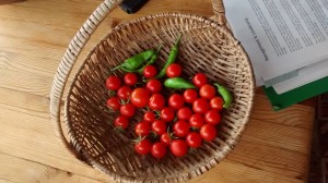 11889455_10206530058908025_5172318740857551636_n