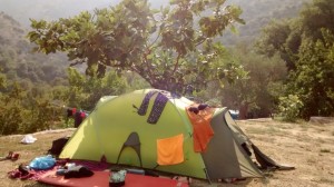 IMG_20150721_084550636