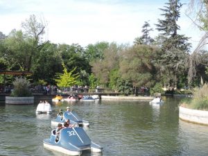 Ein Gewässer im Park