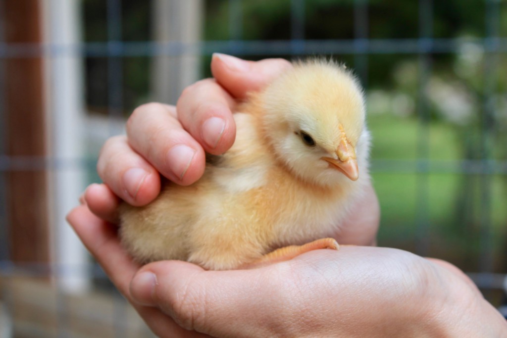 Thesis tapetenwechsel 05 picture