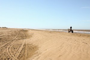 Pferd, Kutsche und Kutscher ... und ein toller Sandstrand -> schönes Foto
