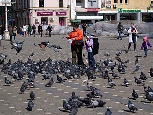 Es gibt hier sehr viele Tauben. Die Leute stellen sich mit ihren Kindern in die Mitte des Platzes und füttern sie. In Deutschland ist das nicht angesehen, hier aber durchaus.