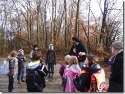 Waldführung auf kroatisch, englisch und schließlich auch deutsch