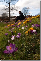 Englands Frühling ist irgendwie schneller als der kroatische